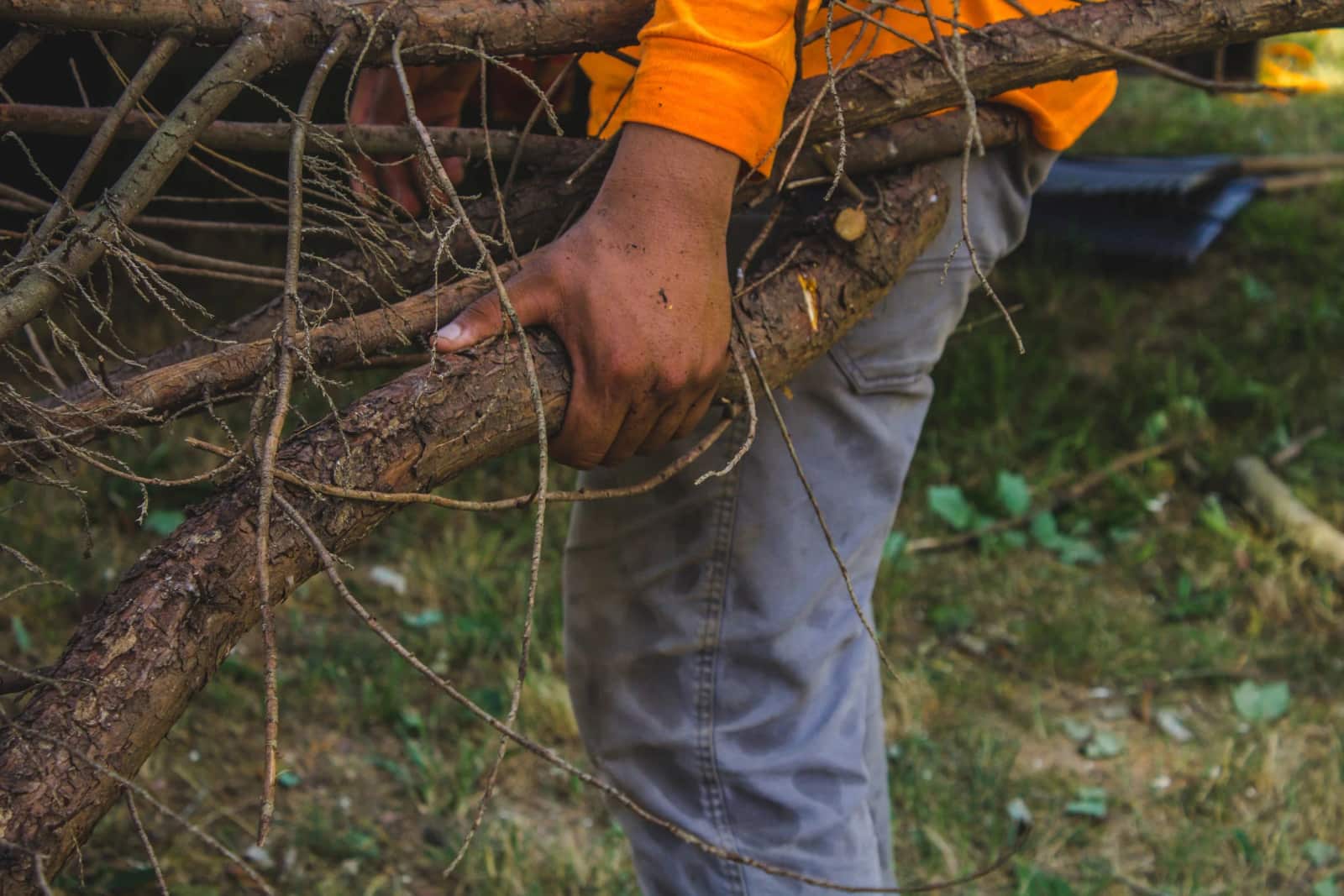 Bruno Tree Service crew at work