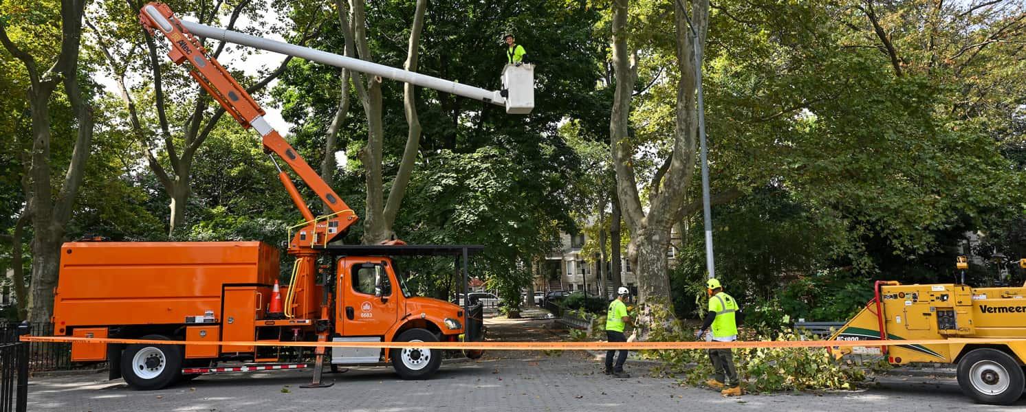Land clearing services Charlotte NC